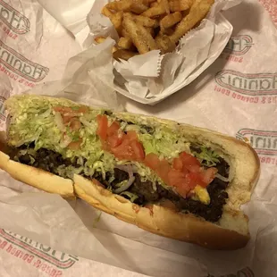 Steak and Cheese Hot Sub and fries