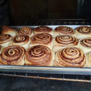 Homemade Cinnamon Rolls