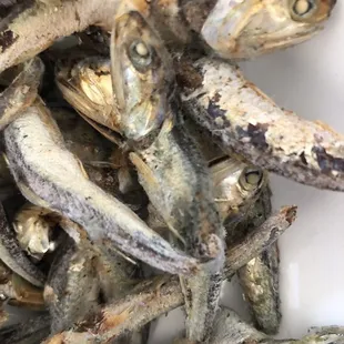moldy fried anchovies