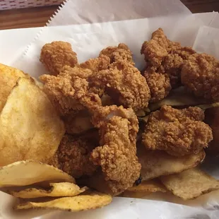 Fried Gator