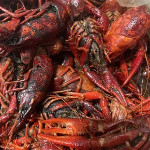 Dirty crawfish