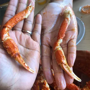 Hank&apos;s tiny snow crab. I feel like I got hustled,