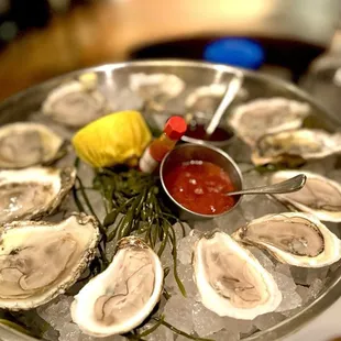Fresh dozen assorted oyster from diff regions of the country $44