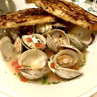 Steamed Clams
