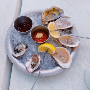 Sampler of raw oysters
