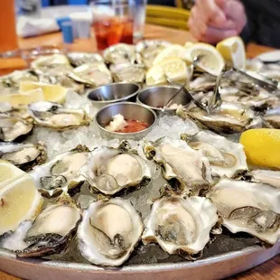 Oysters
