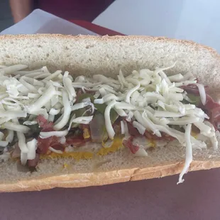 My pastrami sandwich