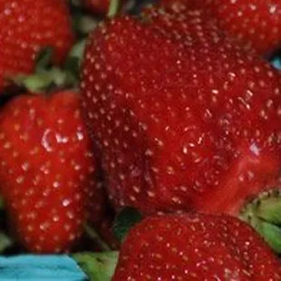 Farm-fresh strawberries are one of the reasons to visit Hann's.