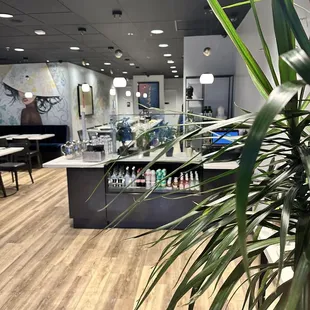 a plant in the foreground