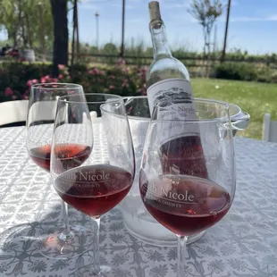 Rose 2019 tasting