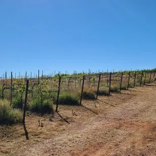 View from tasting area