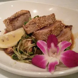 Ahi Tuna