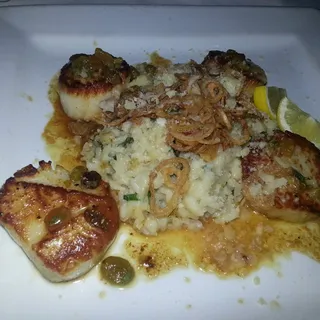 Sea Scallops