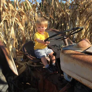 Tractor picture spot at Hannegan's Harvest