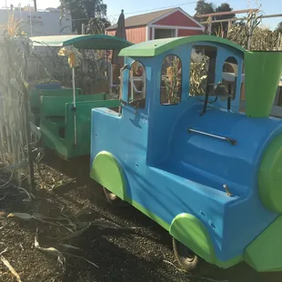 Train ride at Hannegan's Harvest