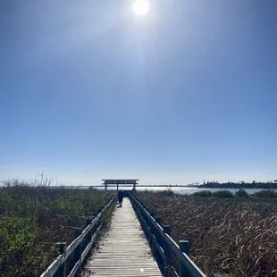 Nature, fresh air and sunshine :)