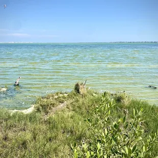 Beautiful day