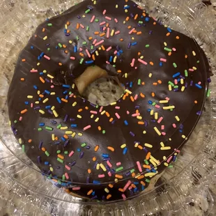 It's a lot bigger than it looks!