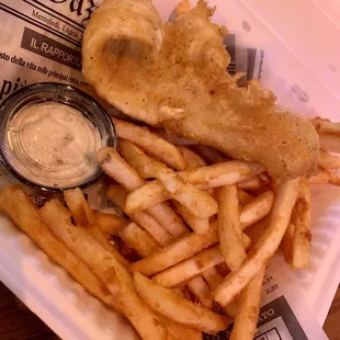 Halibut Fish