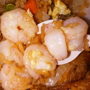 Clean Shrimp... A1