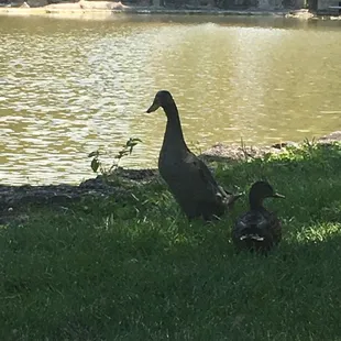 Park residents enjoying the afternoon