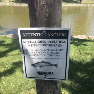 Haven&apos;t caught a Largemouth Bass. . . Yet!