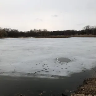 Hansen Pond from the north bridge