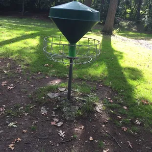 Disc golf!