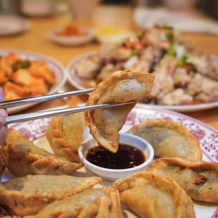 Fried Dumplings