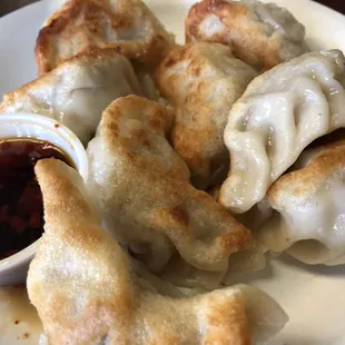 Pot stickers
