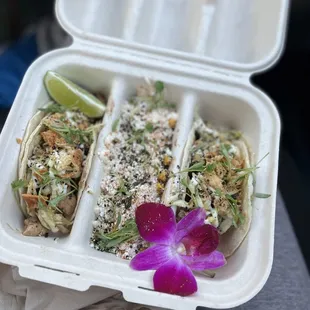 Chicken tacos, corn, and mushroom tacos! Overwhelmingly savory with sauce