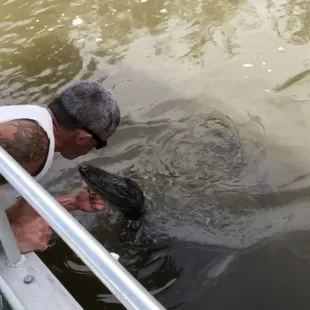 Alligator Tour