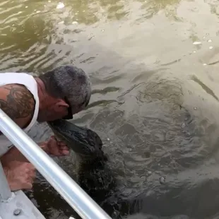 Alligator Tour