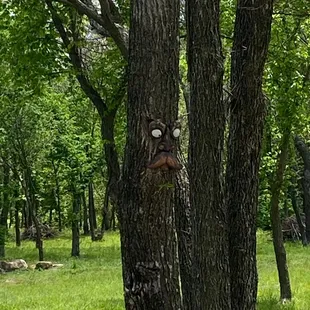 Happy Acres RV Park & Campground