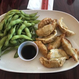 Gyoza &amp; edamame