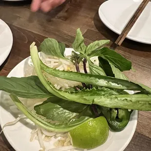 Side vegetables come with the Pho