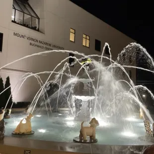 The Dog Fountain right next to our space