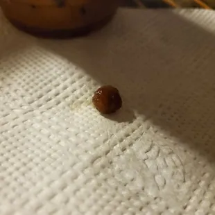 Dried crusty disgusting boba ball from my drink