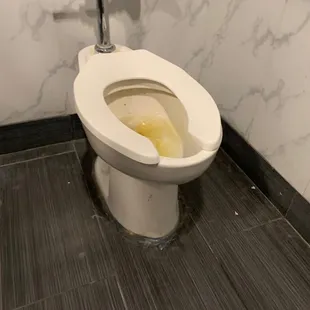 Doesn&apos;t even look like they&apos;ve cleaned their toilets in a week. You can see grime leading all the way up to the bowl