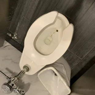 Grime all over the toilets and floor