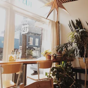 So Q! Love their collection of greens!