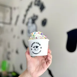 Rainbow Roll Ice Cream