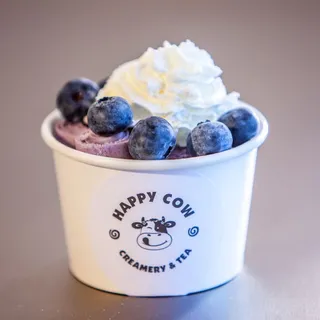 Blueberry Ice Cream