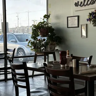 Cute plants everywhere