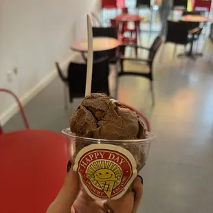 Premium Hard Ice Cream