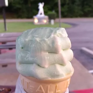 Pistachio nut icecream