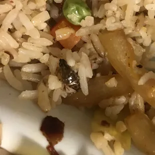 Roaches in my fried rice.... Groooossss.