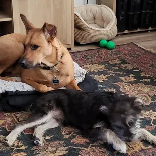 Hangin' with my homies.