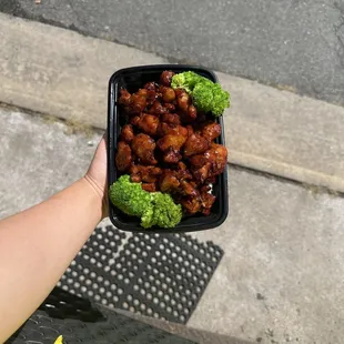 Teriyaki Chicken
