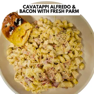 CAVATAPPI ALFREDO WITH BACON